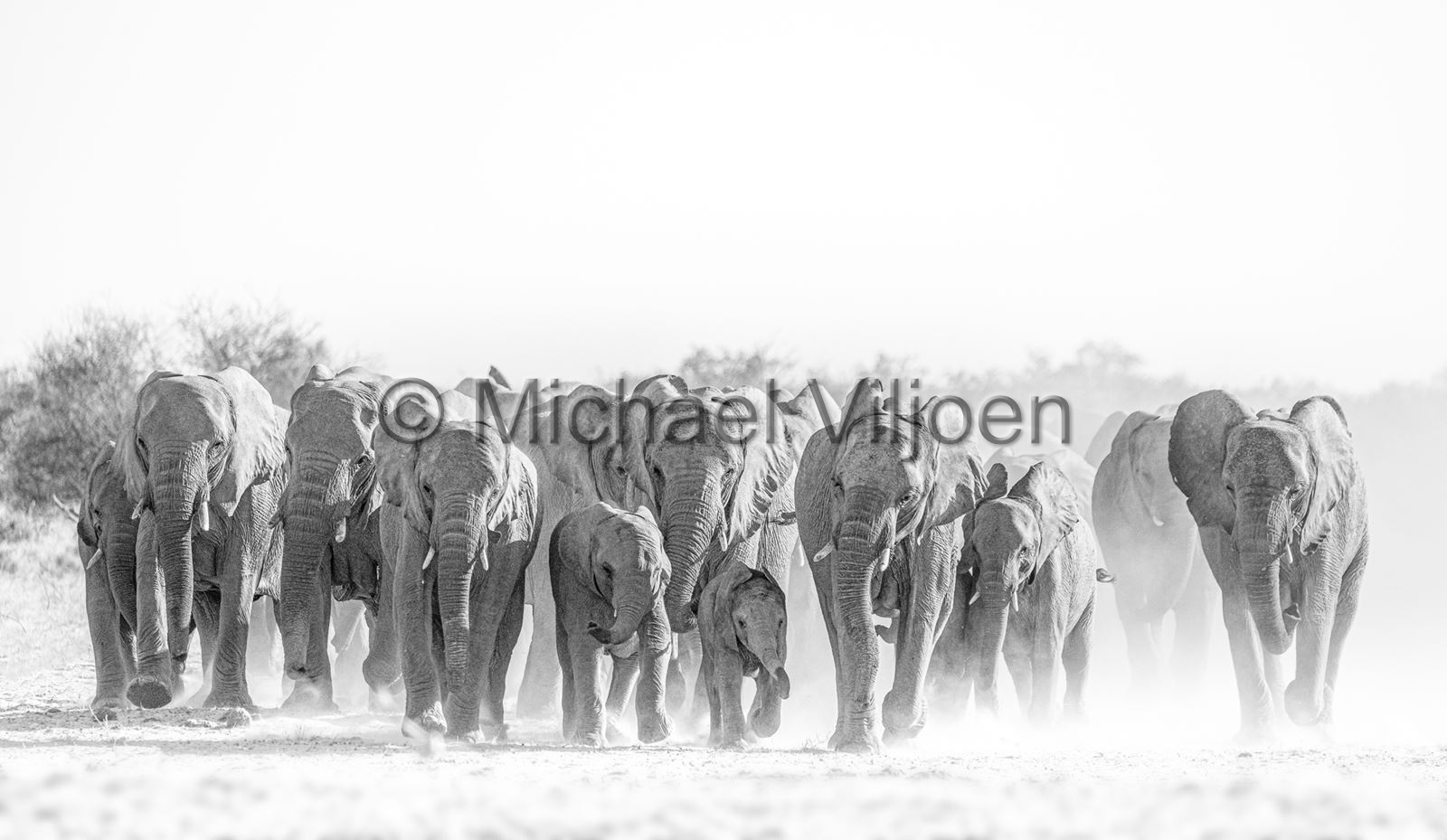Black and White Photography